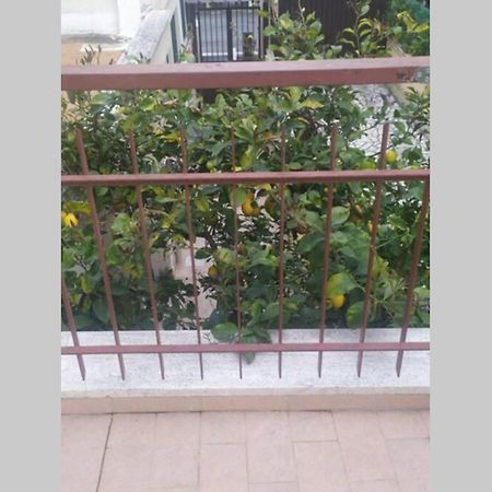 Appto Limone Apartment Lido di Ostia Exterior photo