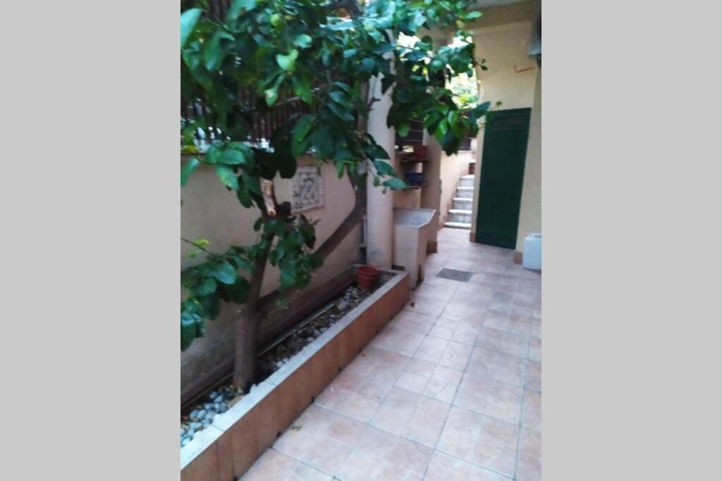 Appto Limone Apartment Lido di Ostia Exterior photo
